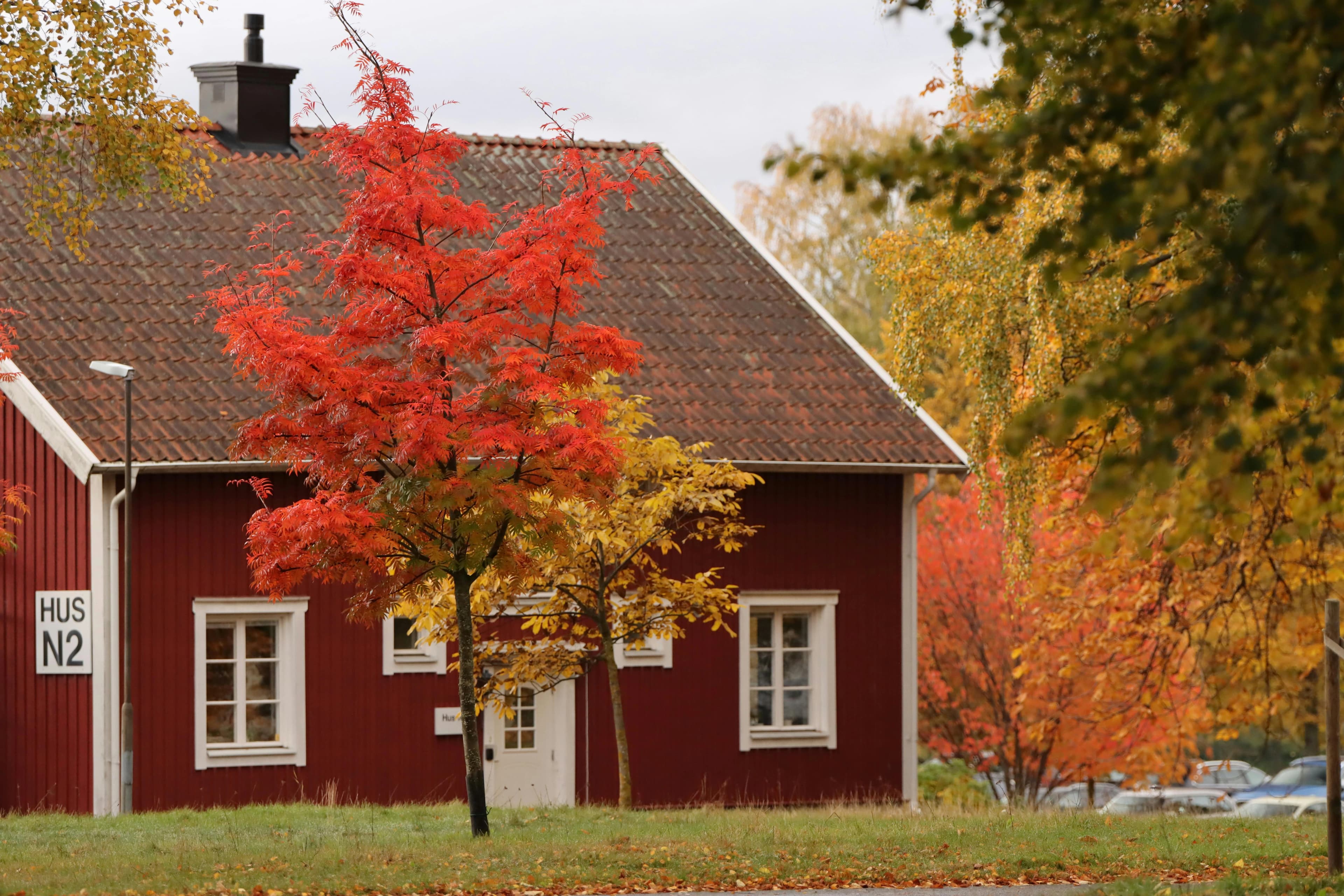 Användarvillkor